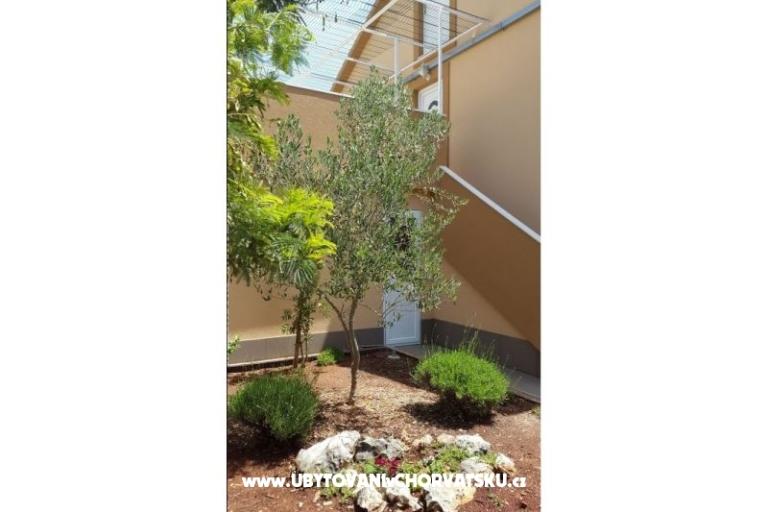Appartements Pejo – foto 4