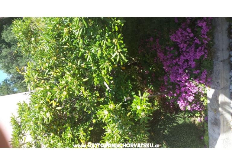 Appartements Perak – foto 10