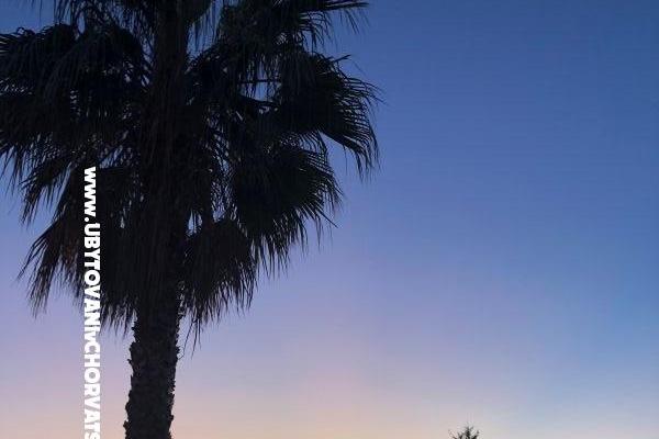 Appartements Ruža – foto 21