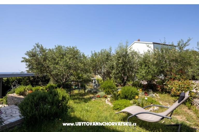 Appartements Vido i Nada – foto 5