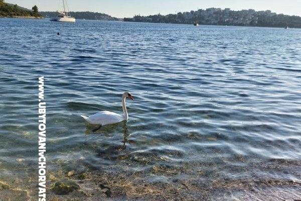 Appartements Crnjac – foto 5