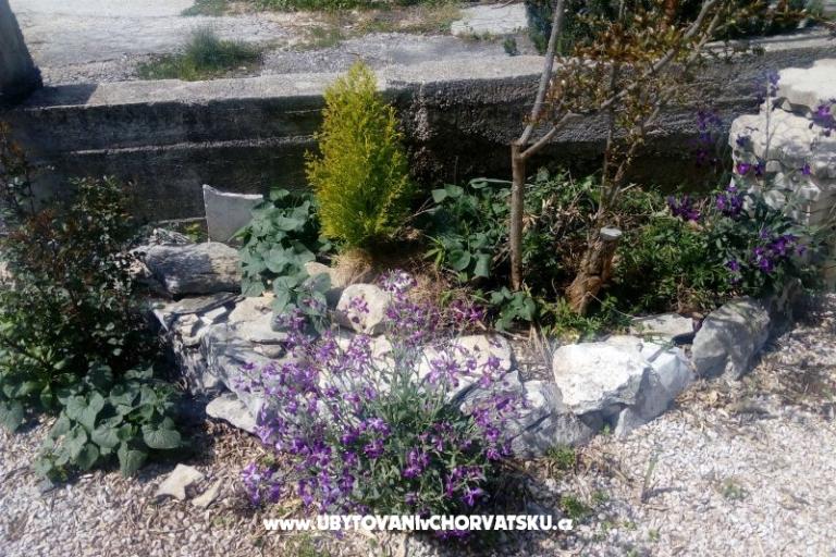 Appartements Ercegovic – foto 4