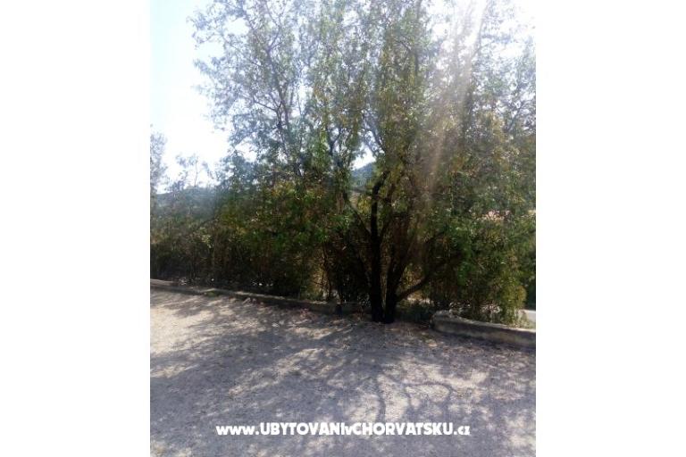 Appartements Ercegovic – foto 5