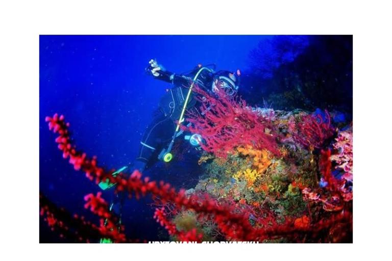 Appartements Slivka – foto 23