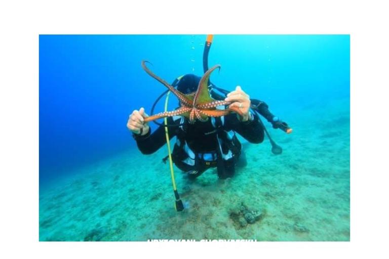 Appartements Slivka – foto 24