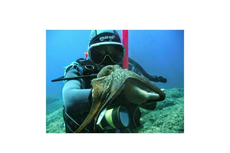 Appartements Slivka – foto 25