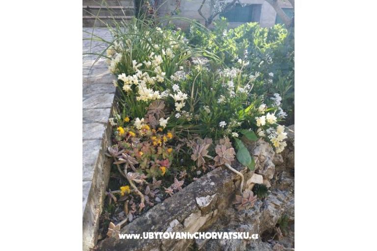 Appartement Jase – foto 8