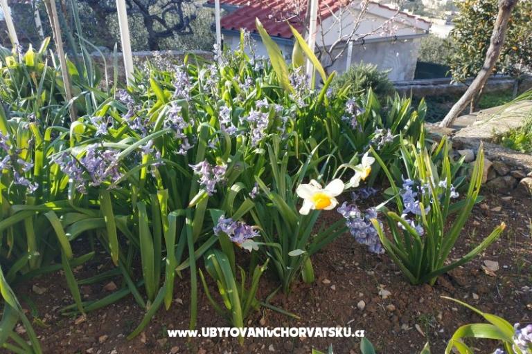 Appartement Jase – foto 9