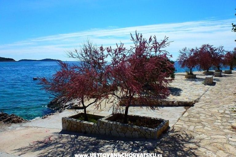 Appartements Jurjević – foto 4