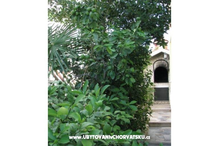 Appartements Villa Milakovic – foto 4