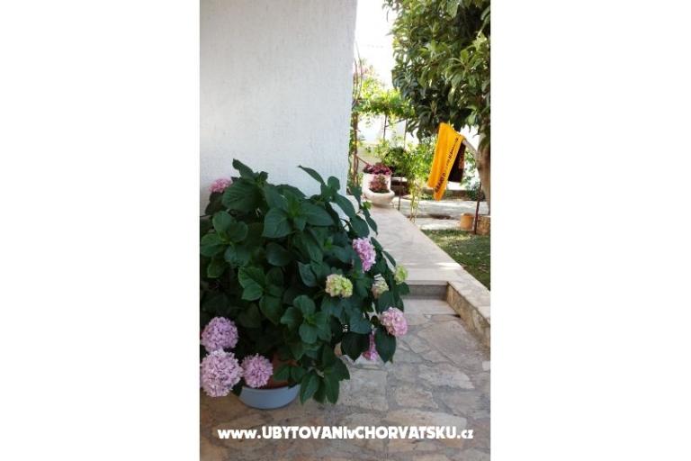 Appartements Ursula – foto 14