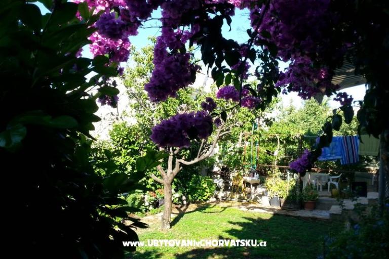 Appartements Ursula – foto 6