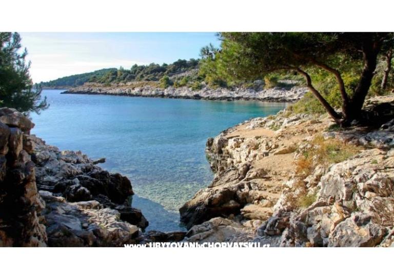 Appartements Iva – foto 13