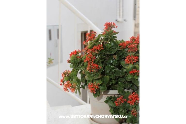 Maison Anita – foto 17