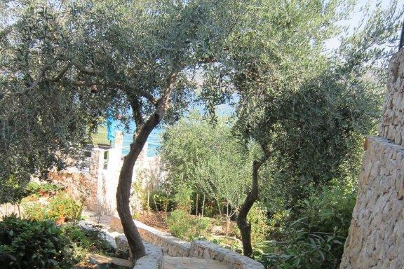 Mezaroca Appartements – foto 4