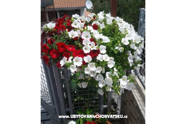 Appartements Mira Mark Ražanj Rogoznic – foto 7