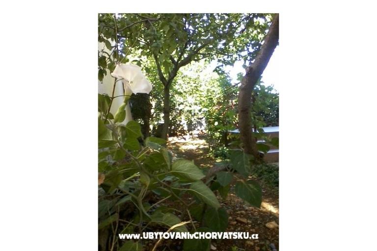 Ružica apartments Rogoznica – foto 11