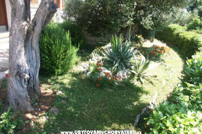 Santa Chiara Appartements – foto 5