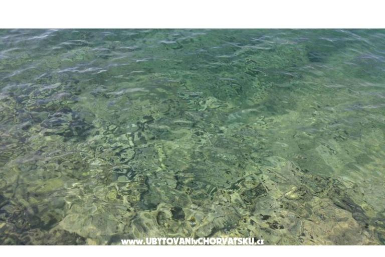 Vera Appartement – foto 15