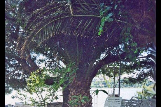 Villa Milmar – foto 3