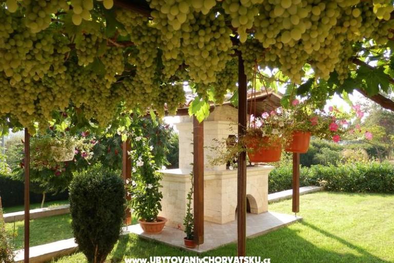 Appartements Fantazija – foto 10