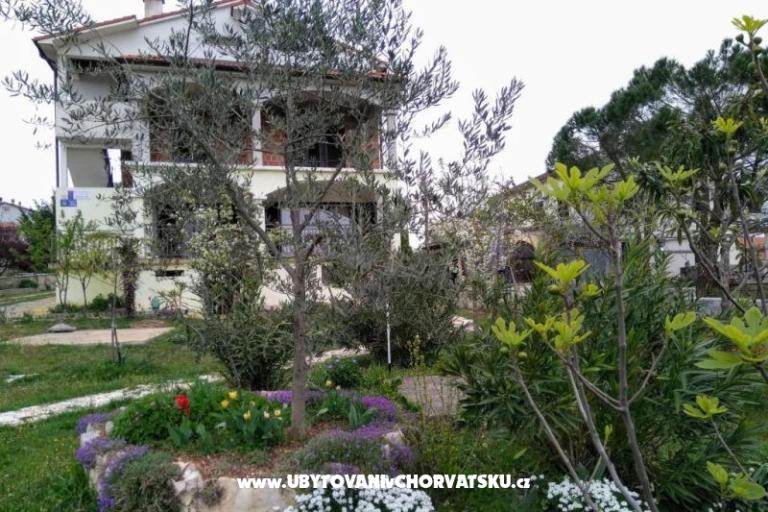 Appartements i Chambres Markovic – foto 6