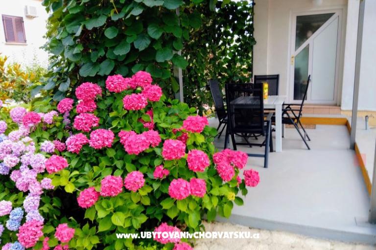 Appartements i Chambres Markovic – foto 9