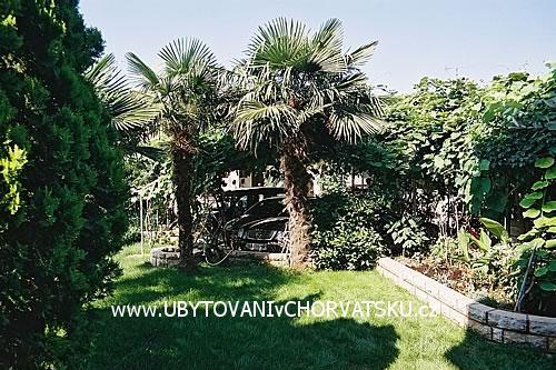 Appartements BOS-KO – foto 3