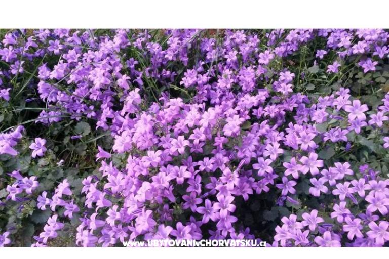 Appartements Ida &amp; Sandra – foto 16