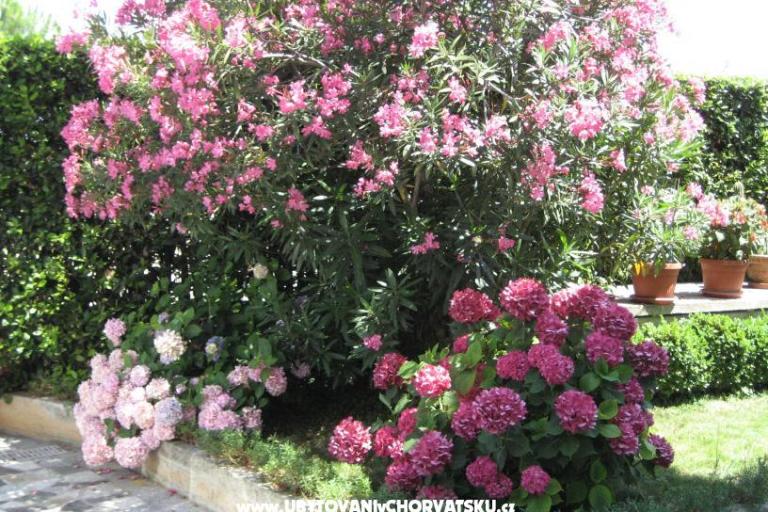 Appartements Ida &amp; Sandra – foto 2