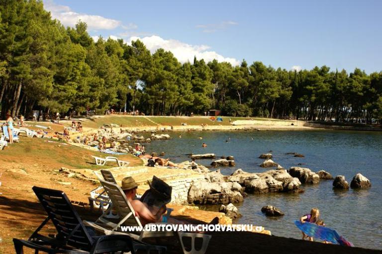 Chambres IVANA – foto 9