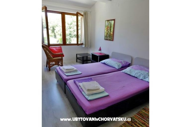 GREEN GARDEN &amp; BUENA VISTA  – foto 10