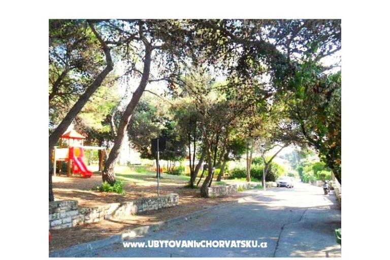 GREEN GARDEN &amp; BUENA VISTA  – foto 8