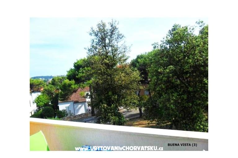 GREEN GARDEN &amp; BUENA VISTA  – foto 9