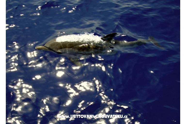 Appartements Lavdara – foto 10