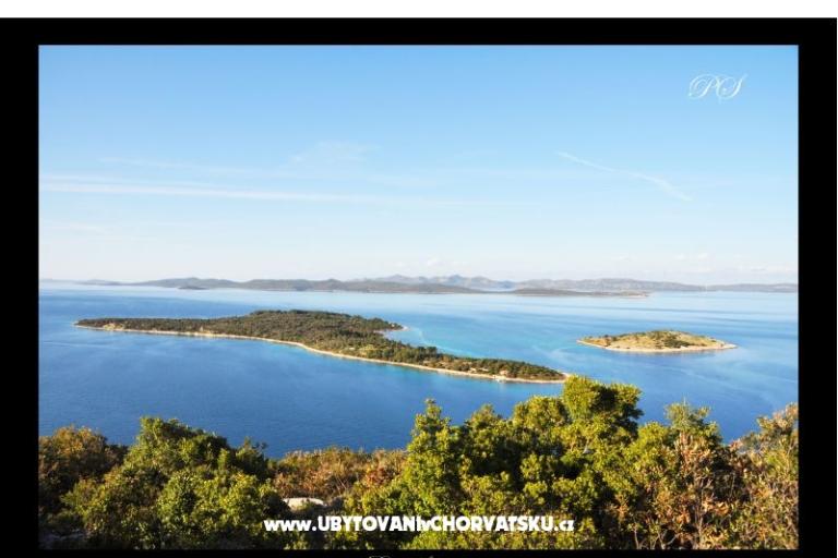 Appartements  Zaglav Dugi otok  – foto 13