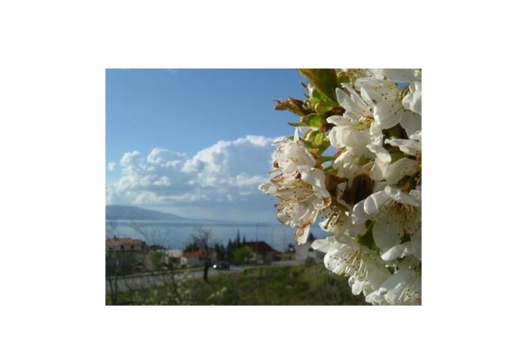 Appartements Klara – foto 8