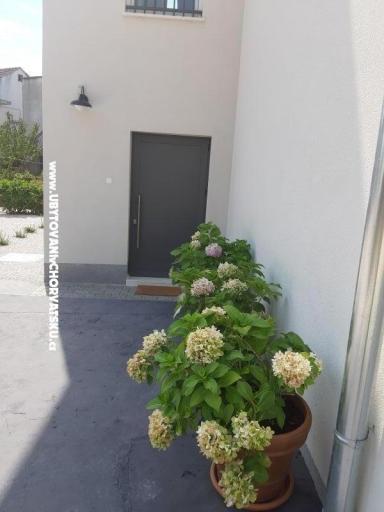 Appartement Era  – foto 15