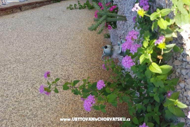 Appartement Mikelin – foto 5
