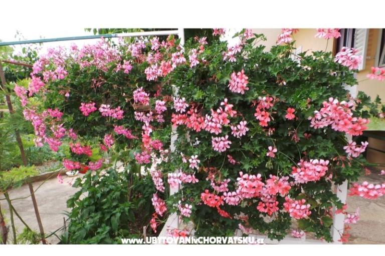 Appartement Tomić – foto 11