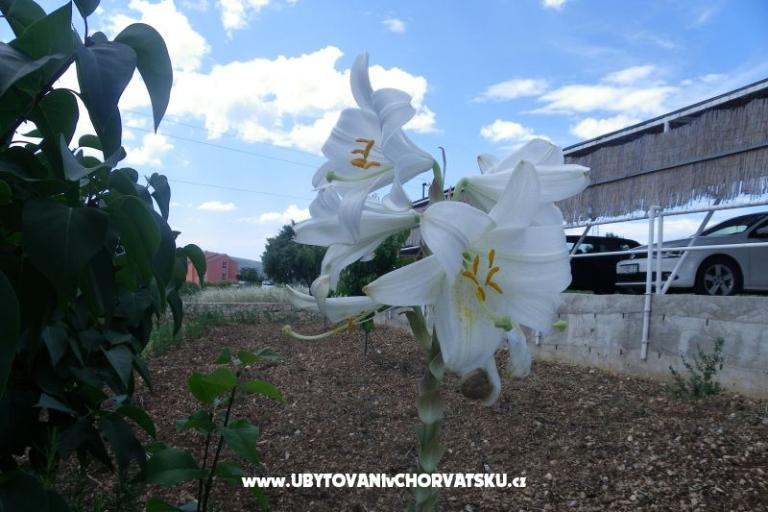 Appartements Ante-Gojko – foto 11