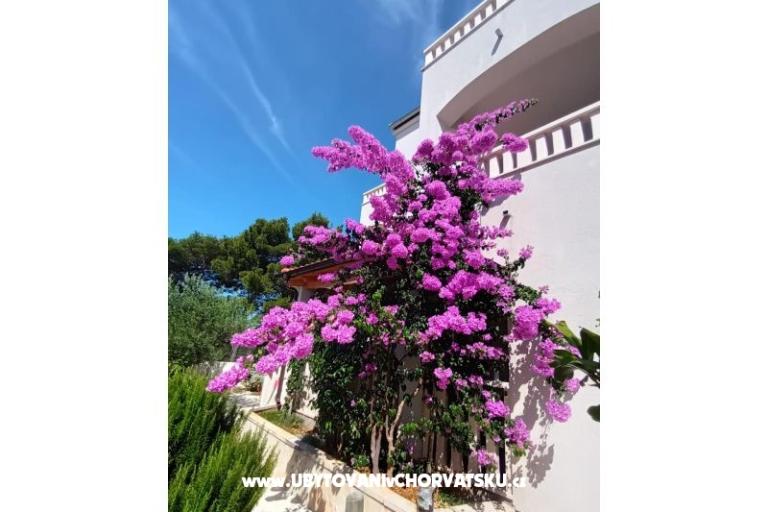 Appartements Pinea Sol – foto 3