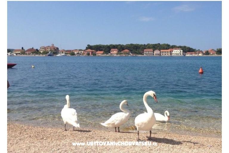 Sunset Hill Appartements – foto 16