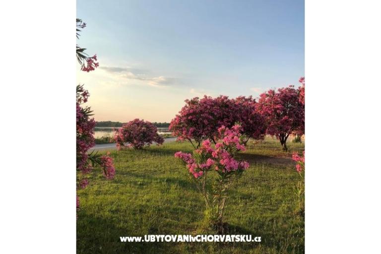 Appartements Tin&amp;Tin – foto 15