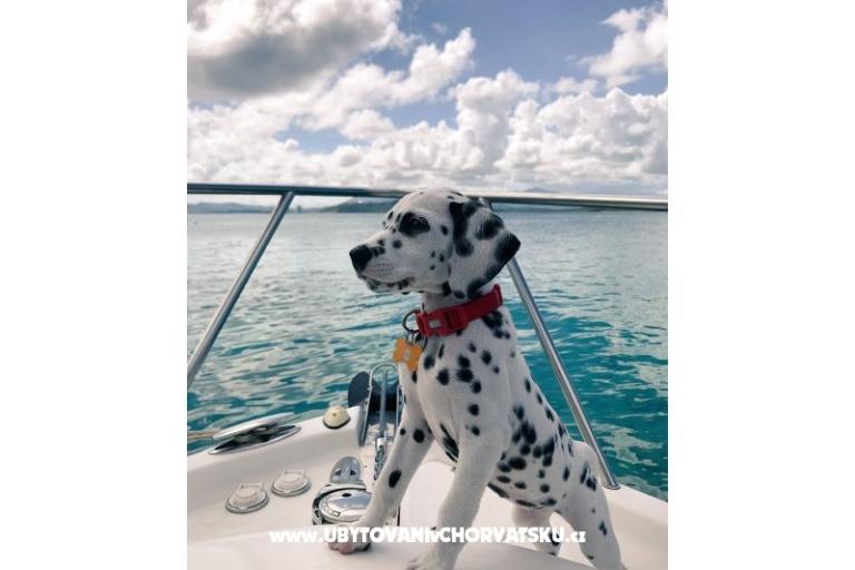 Appartements Tin&amp;Tin – foto 16