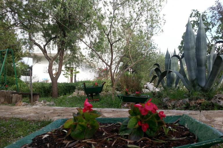 Appartements Vlado – foto 7