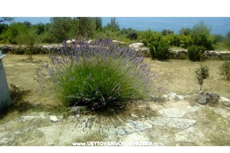 Appartements Villa Mare – foto 9