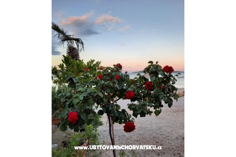 Villa Seaside Žaborić – foto 21