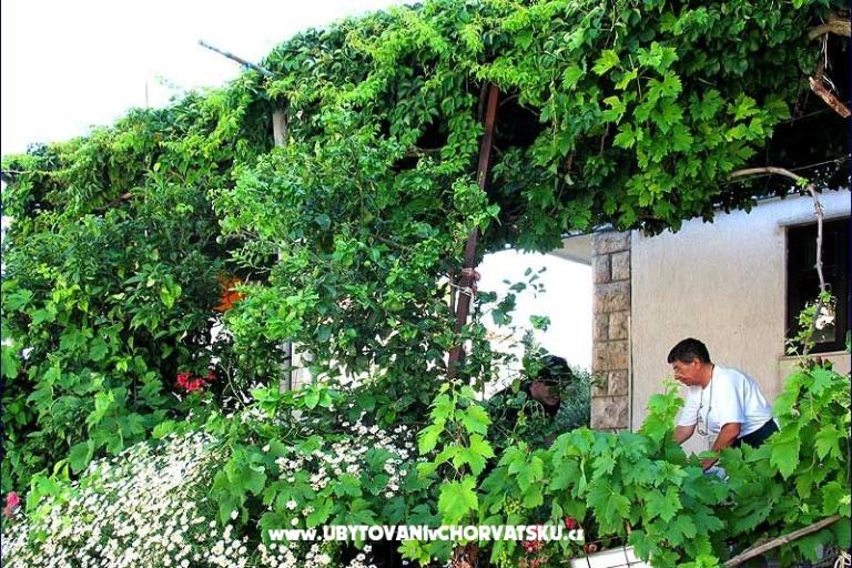 Pension Lobrović – foto 8