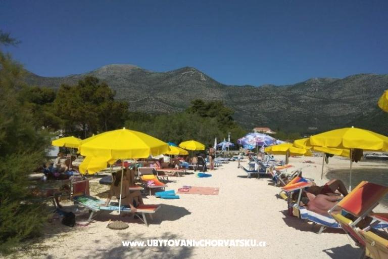 Appartements POLAČA - Slano – foto 14